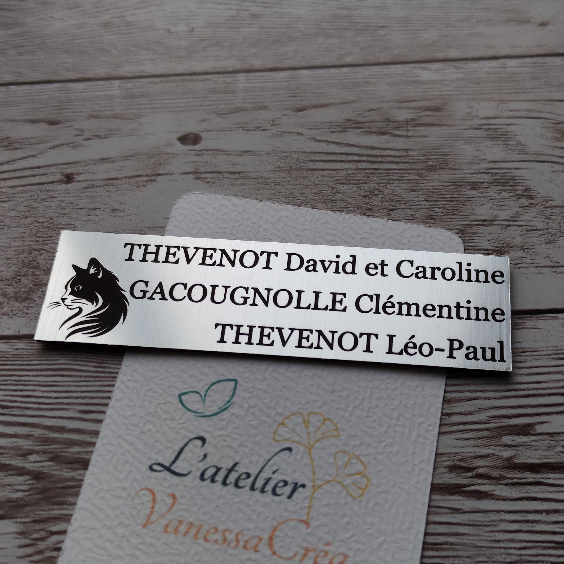 plaque boîte aux lettres personnalisée avec gravure laser haute précision d'un dessin de chat et noms de famille.
