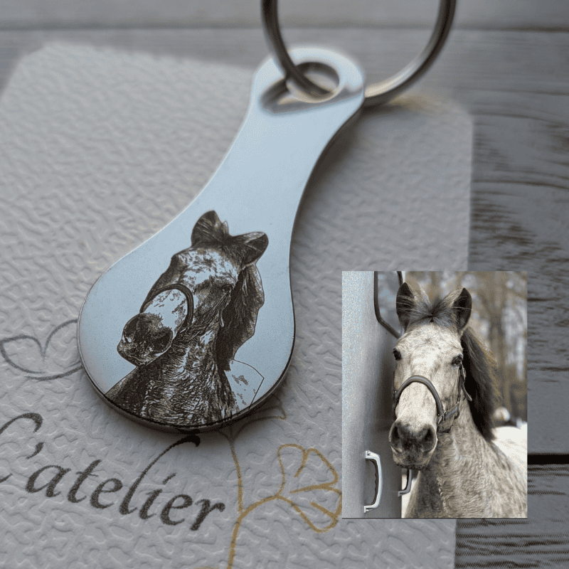 Exemple de personnalisation de porte-clés jeton de caddie photo avec le portrait d'un cheval.